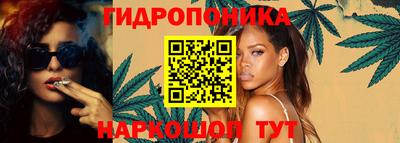 индика Пугачёв
