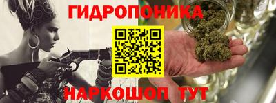 индика Пугачёв