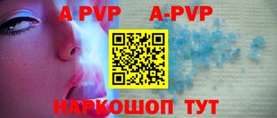 индика Пугачёв