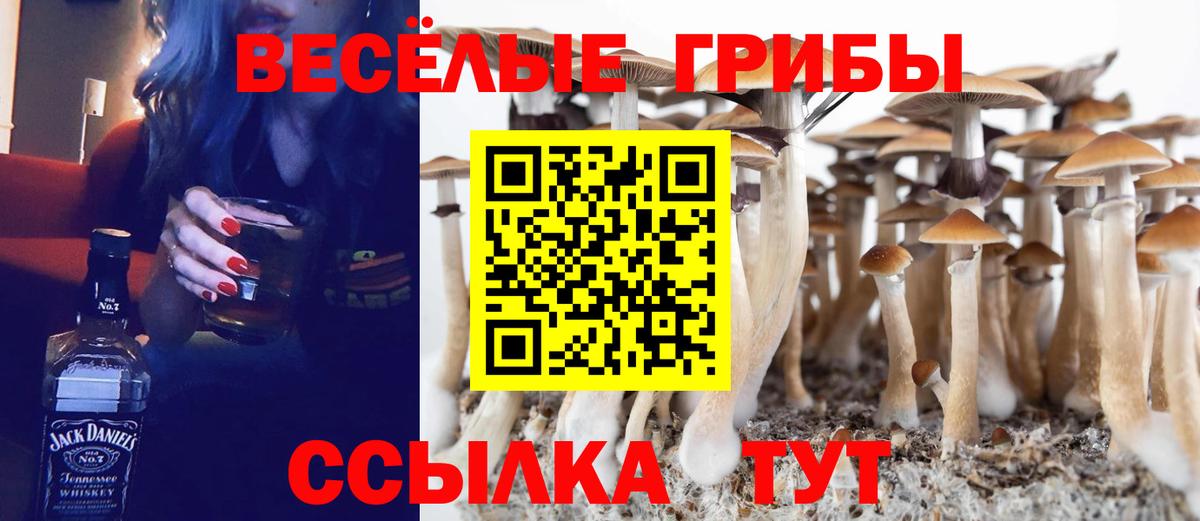 Псилоцибиновые грибы Psilocybe  Вход с VPN  Салехард  купить   Галлюциногенные грибы MAGIC MUSHROOMS 
