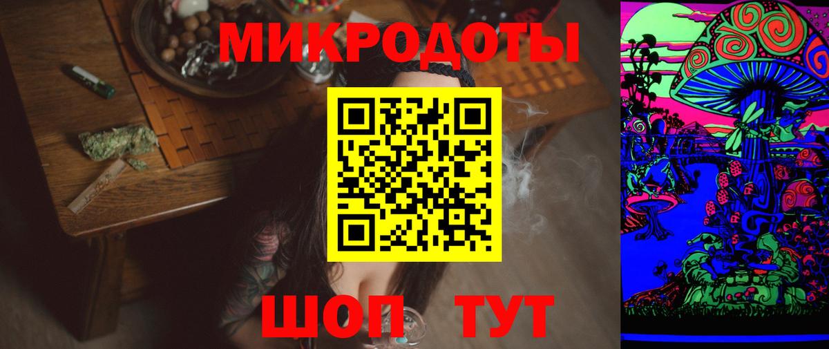Галлюциногенные грибы Psilocybe Салехард
